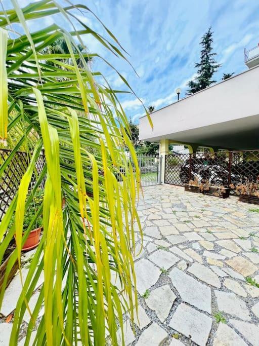 Suite Dei Fiori - Luxury Open Space Sanremo Exterior foto