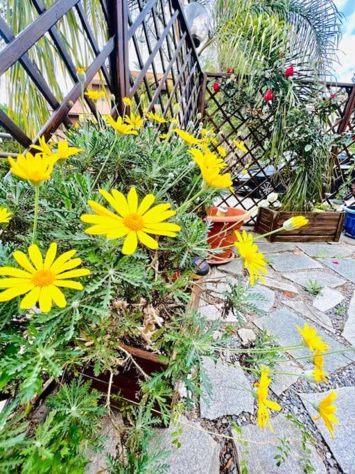 Suite Dei Fiori - Luxury Open Space Sanremo Exterior foto
